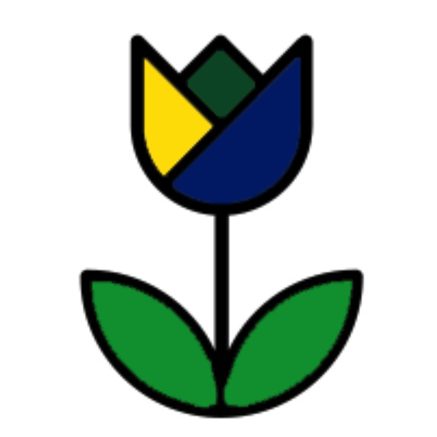 Stichting Holanda Brasil